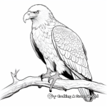 Majestic Bald Eagle Coloring Pages 2