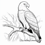 Majestic Bald Eagle Coloring Pages 3