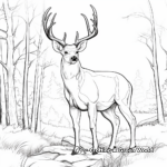 Majestuosas páginas para colorear de Big Buck in the Woods 4
