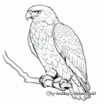 Majestic Bird of Prey Coloring Pages 1