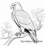 Majestic Bird of Prey Coloring Pages 2