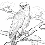 Majestic Bird of Prey Coloring Pages 3