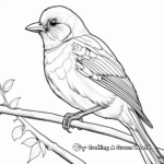 Majestic Black-naped Oriole Coloring Pages 3