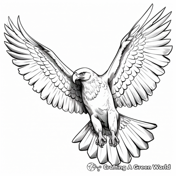 Flying Eagle Coloring Pages - Free & Printable!