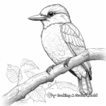 Majestic Kingfisher Portrait Coloring Pages 4