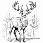 Majestic Red Deer Antler Coloring Pages 1