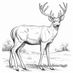 Majestic Red Deer Antler Coloring Pages 2