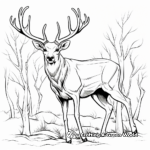 Majestic Red Deer Antler Coloring Pages 4