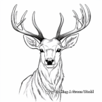 Majestic Red Deer Stag Head Coloring Pages 3