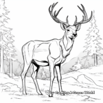 Majestic Stag Coloring Pages 1