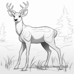Majestic Stag Deer Coloring Pages for Beginners 1