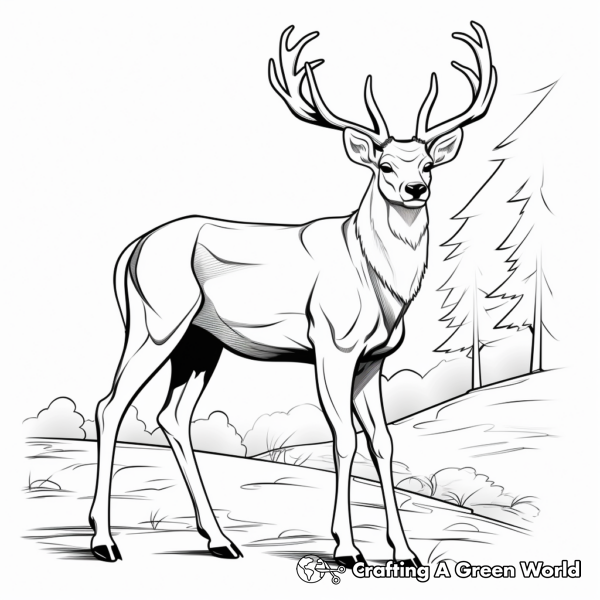 Easy Deer Coloring Pages - Free & Printable!