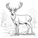Majestic Stag Deer Coloring Pages for Beginners 3