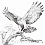 Majestic Wedge-Tailed Eagle Coloring Pages 2