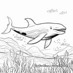Majestic Whale Coloring Pages 4