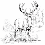 Majestic White-Tailed Buck Coloring Pages 1