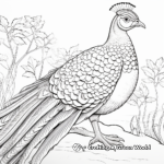 Malay Peacock-Pheasant: Inspiring Coloring Pages 1
