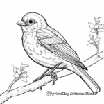 Marais Oriole Coloring Pages for Bird Enthusiasts 3