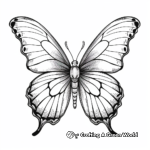 Marine Blue Butterfly Coloring Pages: Nature's Exquisite Beauty 4