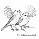 Mating Dance Oriole Coloring Page 1