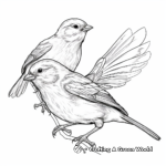 Mating Dance Oriole Coloring Page 2