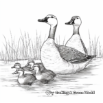 Migrating Canada Geese Coloring Sheets 1