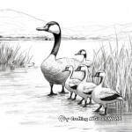 Migrating Canada Geese Coloring Sheets 2