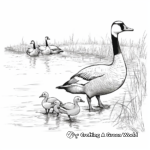 Migrating Canada Geese Coloring Sheets 3