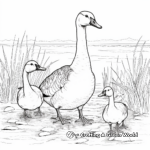 Migrating Canada Geese Coloring Sheets 4