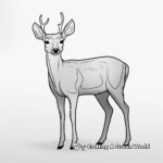 Minimalist Deer Outline Coloring Pages 2