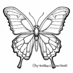 Monarch Butterfly Anatomy: Diagram Coloring Page 1