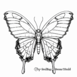 Monarch Butterfly Anatomy: Diagram Coloring Page 2