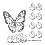 Monarch butterfly Life Cycle: Egg to Adult Coloring Pages 2