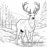 Moose Deer: The Giant of the Forest Coloring Pages 1