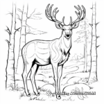 Moose Deer: The Giant of the Forest Coloring Pages 2