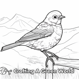 Blue Bird Coloring Pages - Free &amp; Printable!