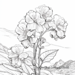 Mountain Hydrangea Coloring Pages 3