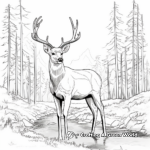 Mule Deer in Autumn: Forest Scene Coloring Pages 1