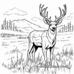 Mule Deer in the Meadow: Nature Scene Coloring Pages 1