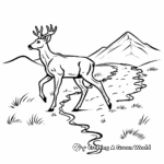 Mule Deer Track: Educational Coloring Pages 1