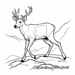 Mule Deer Track: Educational Coloring Pages 3