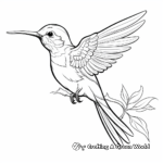 Multiple Hummingbird Species Coloring Pages 1
