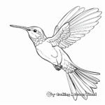 Multiple Hummingbird Species Coloring Pages 3