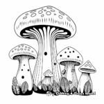 Mushroom Family: Bolete, Morel, and Amanita Coloring Pages 2