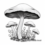 Mysterious Black Trumpet Mushroom Coloring Pages 2