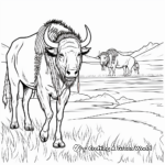 Native American Buffalo Scene Coloring Pages 1