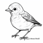 Nature's Beauty: Baby Finch Coloring Pages 2