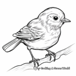 Nature's Beauty: Baby Finch Coloring Pages 3
