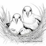 Nesting Puffin Coloring Pages for Bird Watchers 2