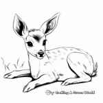 Newborn Fawn Lying Down Coloring Pages 4